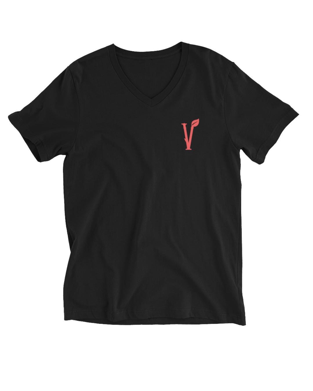 Dark Humor Vegan Vegetarian Shirt - Ironic Pun Hail Seitan - Funny Play on Words